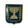 Knesset Menorah Emblem on Lapel Pin | Lapel Pins