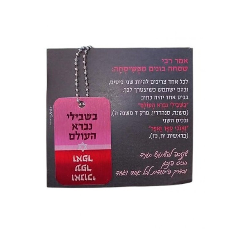 Dorit Judaica Dog Tag Necklace on Chain Hassidic Phr... | IDF Dog-Tags
