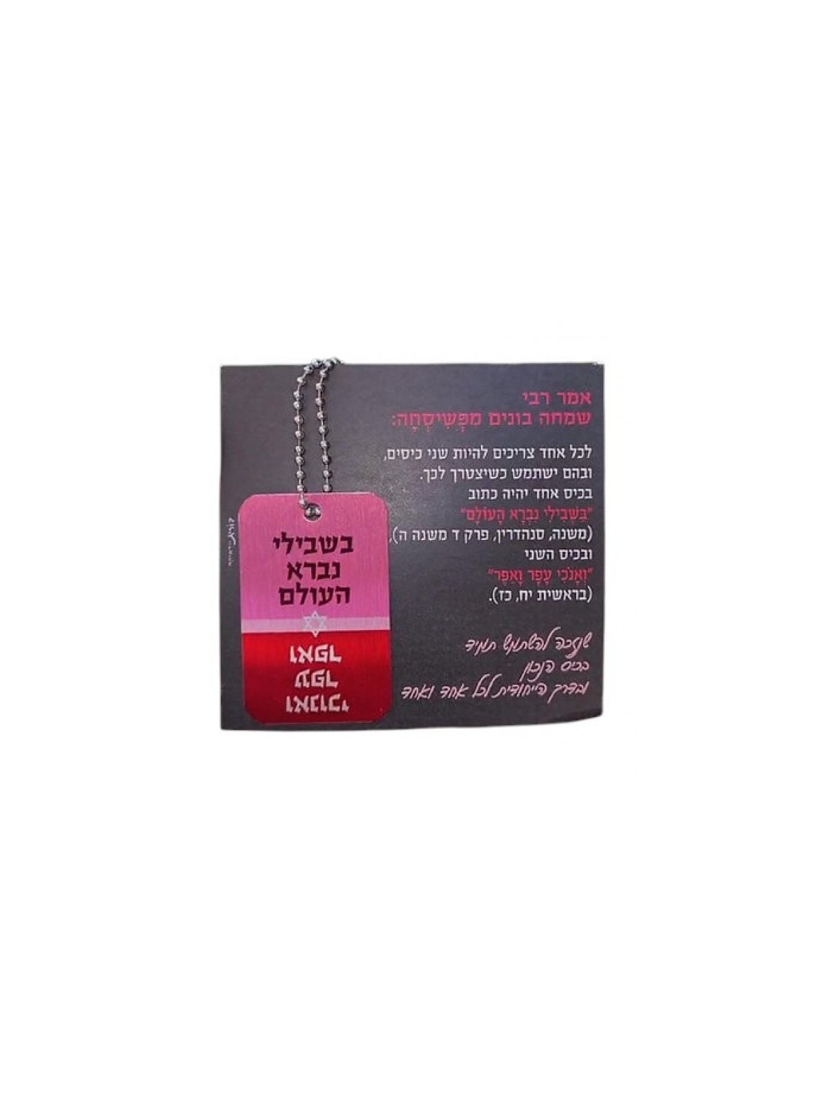 Dorit Judaica Dog Tag Necklace on Chain Hassidic Phr... | IDF Dog-Tags