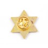 Star of David Zion Lapel Pin | Lapel Pins