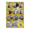 Colorful Stickers Jerusalem Emblems and Gates | Judaica Stickers