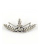 Israeli Army IDF Lapel Pin Emblem of Border Guard | IDF Lapel Pins