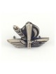 Israeli Army Lapel Pin Nachal Brigade Granite Unit... | IDF Lapel Pins