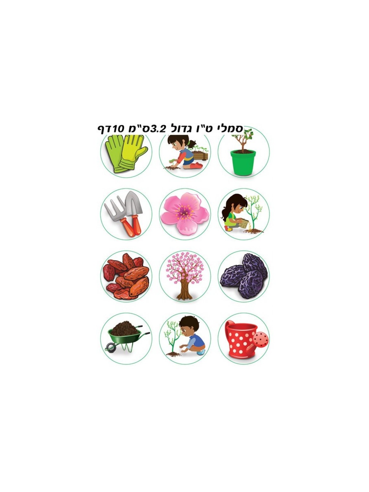 Colorful Stickers for Children Tu BiShvat Activi... | Judaica Stickers