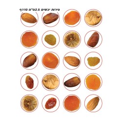 Colorful Stickers for Children Tu BiShvat Dried ... | Judaica Stickers