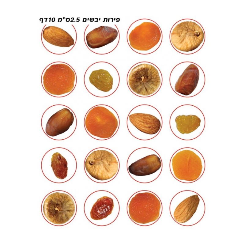 Colorful Stickers for Children Tu BiShvat Dried ... | Judaica Stickers