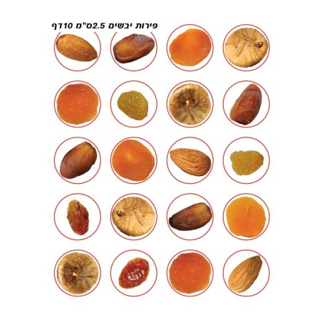 Colorful Stickers for Children Tu BiShvat Dried ... | Judaica Stickers