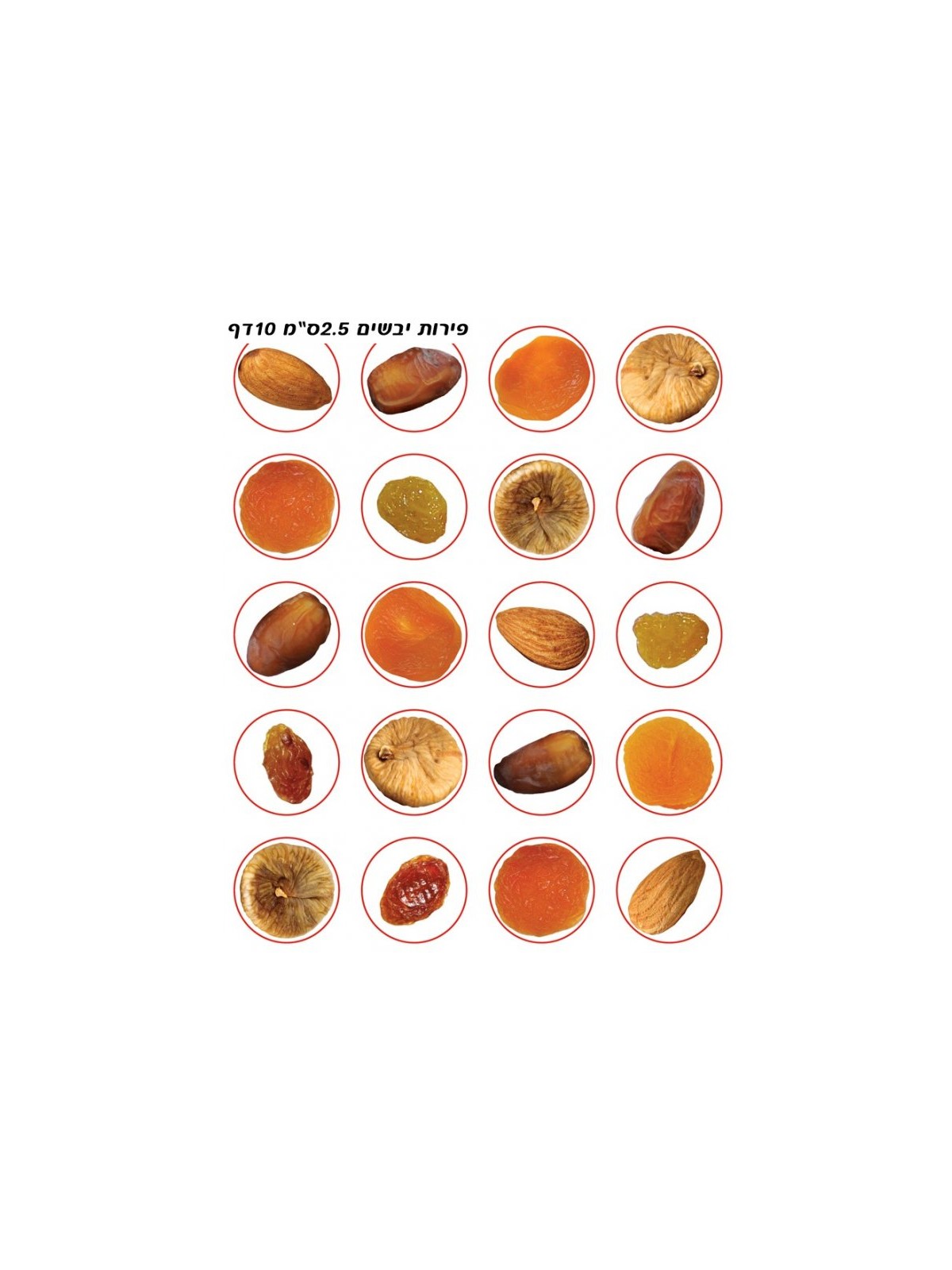 Colorful Stickers for Children Tu BiShvat Dried ... | Judaica Stickers