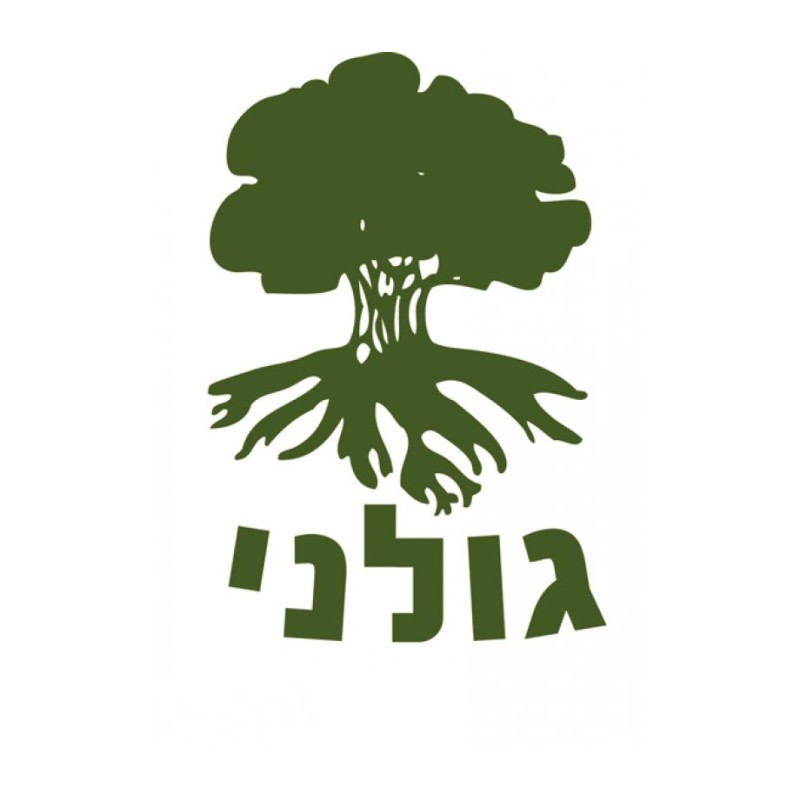 T-shirt Golani | T-shirts armée israélienne