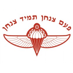 IDF Special Forces Short Sleeve T Shirt Onc... | Israeli Army T-Shirts