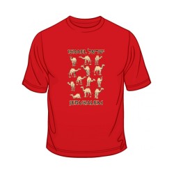 Israel Camels T Shirt | Israel T-Shirts