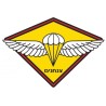 IDF Paratrooper Emblem T Shirt | Israeli Army T-Shirts