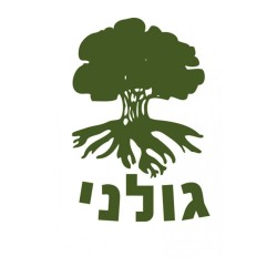 Golani Long Sleeved T Shirt | Israeli Army T-Shirts
