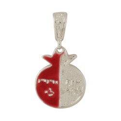 Pendentif Grenade Rhodium Gold Filled H... | Cadeau juif d'Israël
